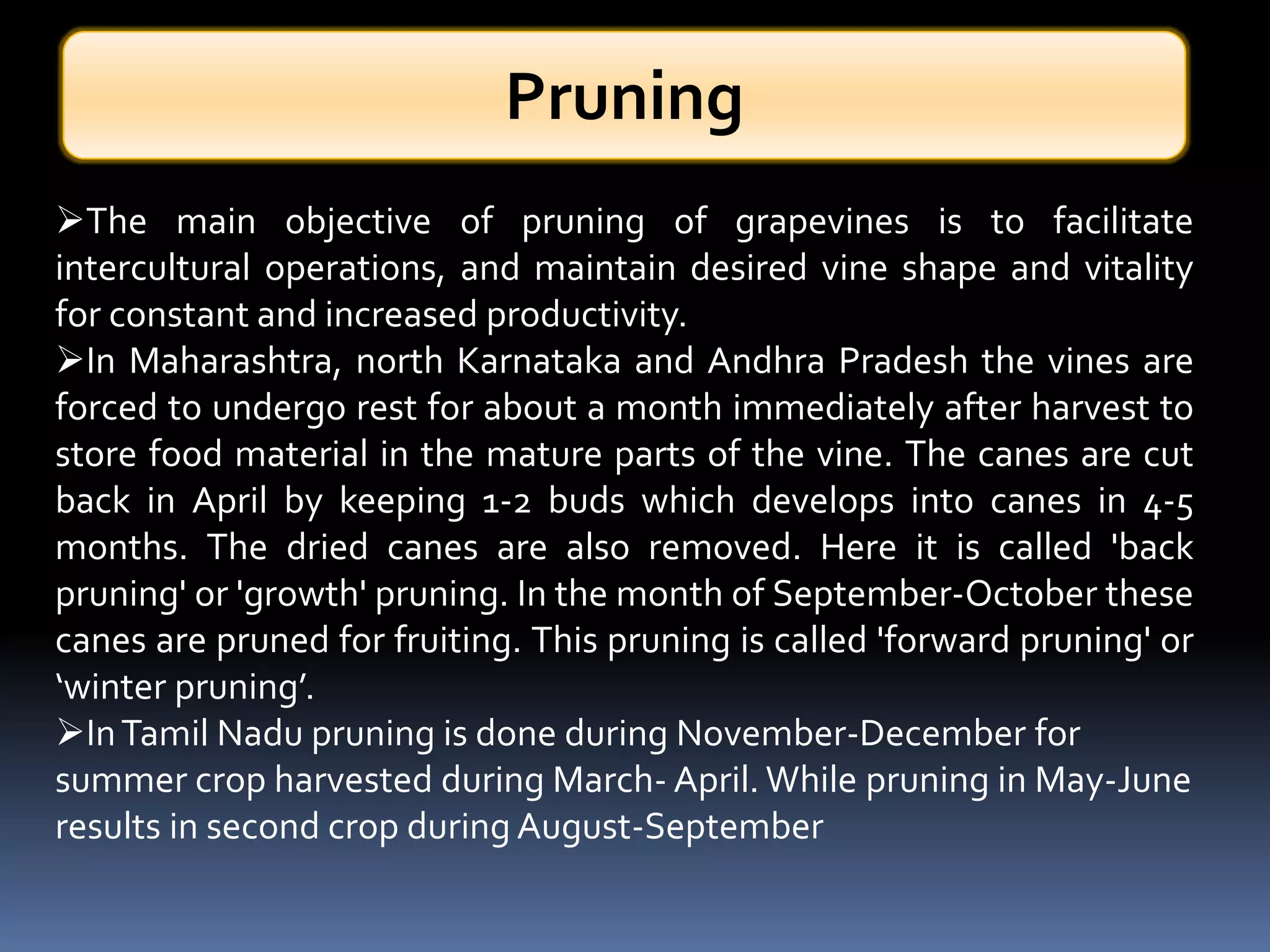 The main objective of pruning of grapevines is to facilitate
intercultural operations, and maintain desired vine shape and vitality
for constant and increased productivity.
In Maharashtra, north Karnataka and Andhra Pradesh the vines are
forced to undergo rest for about a month immediately after harvest to
store food material in the mature parts of the vine. The canes are cut
back in April by keeping 1-2 buds which develops into canes in 4-5
months. The dried canes are also removed. Here it is called 'back
pruning' or 'growth' pruning. In the month of September-October these
canes are pruned for fruiting. This pruning is called 'forward pruning' or
‘winter pruning’.
InTamil Nadu pruning is done during November-December for
summer crop harvested during March- April. While pruning in May-June
results in second crop during August-September
Pruning
 