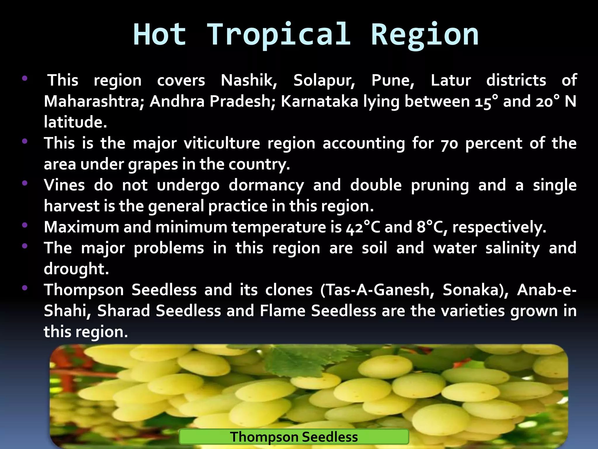 Hot Tropical Region
• This region covers Nashik, Solapur, Pune, Latur districts of
Maharashtra; Andhra Pradesh; Karnataka lying between 15° and 20° N
latitude.
• This is the major viticulture region accounting for 70 percent of the
area under grapes in the country.
• Vines do not undergo dormancy and double pruning and a single
harvest is the general practice in this region.
• Maximum and minimum temperature is 42°C and 8°C, respectively.
• The major problems in this region are soil and water salinity and
drought.
• Thompson Seedless and its clones (Tas-A-Ganesh, Sonaka), Anab-e-
Shahi, Sharad Seedless and Flame Seedless are the varieties grown in
this region.
Thompson Seedless
 
