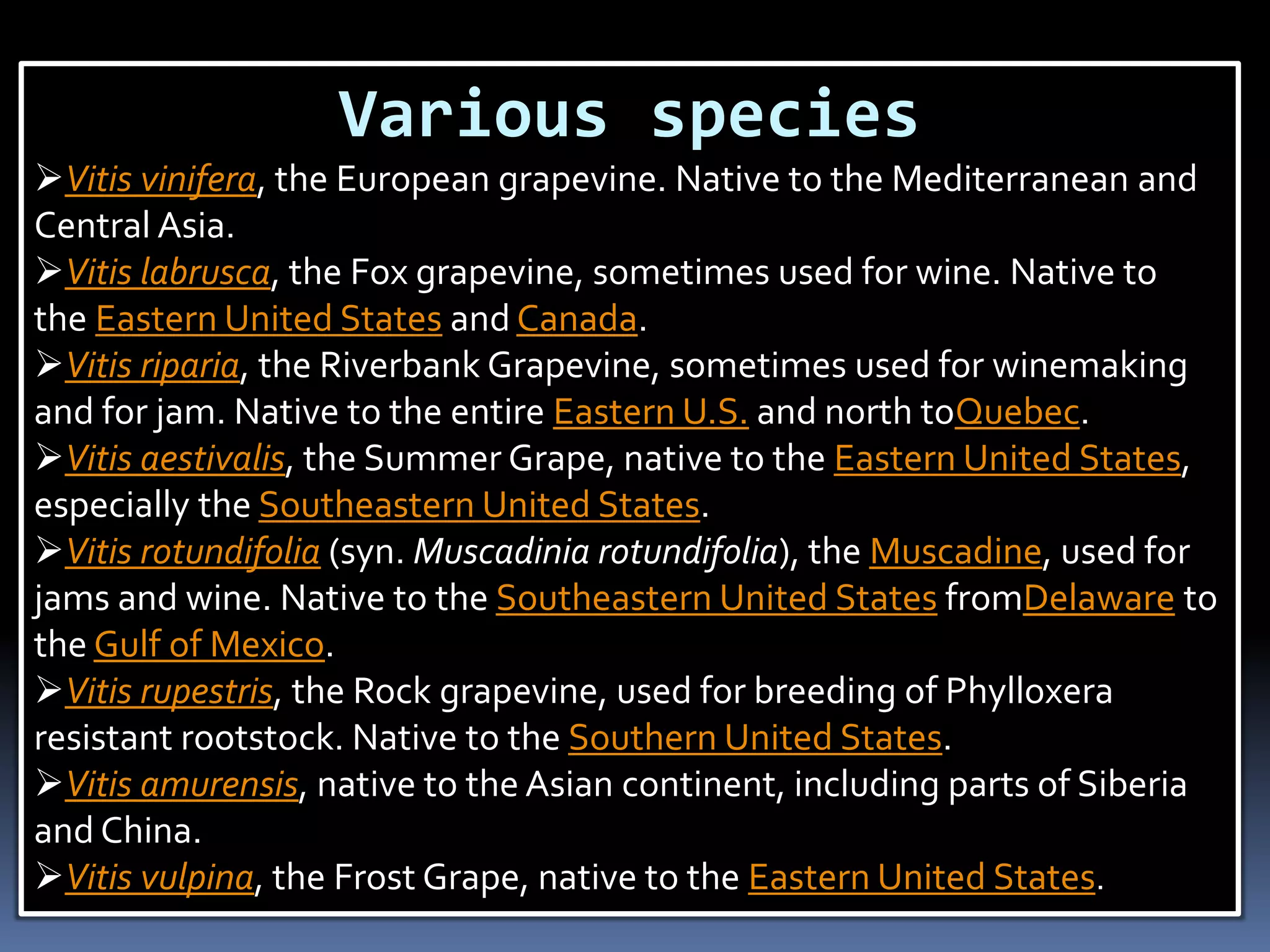 Various species
Vitis vinifera, the European grapevine. Native to the Mediterranean and
Central Asia.
Vitis labrusca, the Fox grapevine, sometimes used for wine. Native to
the Eastern United States and Canada.
Vitis riparia, the Riverbank Grapevine, sometimes used for winemaking
and for jam. Native to the entire Eastern U.S. and north toQuebec.
Vitis aestivalis, the Summer Grape, native to the Eastern United States,
especially the Southeastern United States.
Vitis rotundifolia (syn. Muscadinia rotundifolia), the Muscadine, used for
jams and wine. Native to the Southeastern United States fromDelaware to
the Gulf of Mexico.
Vitis rupestris, the Rock grapevine, used for breeding of Phylloxera
resistant rootstock. Native to the Southern United States.
Vitis amurensis, native to the Asian continent, including parts of Siberia
and China.
Vitis vulpina, the Frost Grape, native to the Eastern United States.
 