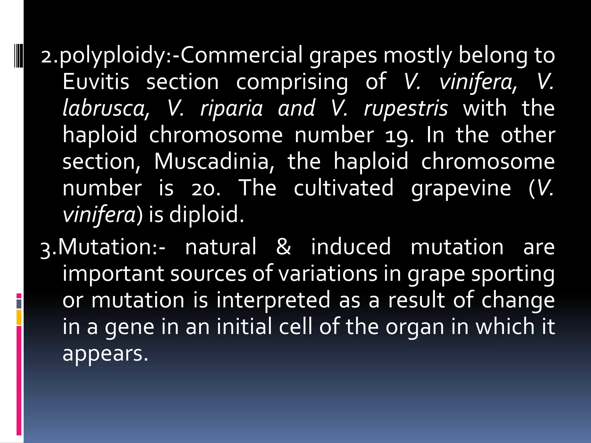 2.polyploidy:-Commercial grapes mostly belong to
Euvitis section comprising of V. vinifera, V.
labrusca, V. riparia and V. rupestris with the
haploid chromosome number 19. In the other
section, Muscadinia, the haploid chromosome
number is 20. The cultivated grapevine (V.
vinifera) is diploid.
3.Mutation:- natural & induced mutation are
important sources of variations in grape sporting
or mutation is interpreted as a result of change
in a gene in an initial cell of the organ in which it
appears.
 