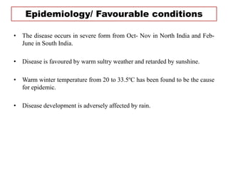 Epidemiology/ Favourable conditions
• The disease occurs in severe form from Oct- Nov in North India and Feb-
June in South India.
• Disease is favoured by warm sultry weather and retarded by sunshine.
• Warm winter temperature from 20 to 33.5ºC has been found to be the cause
for epidemic.
• Disease development is adversely affected by rain.
 