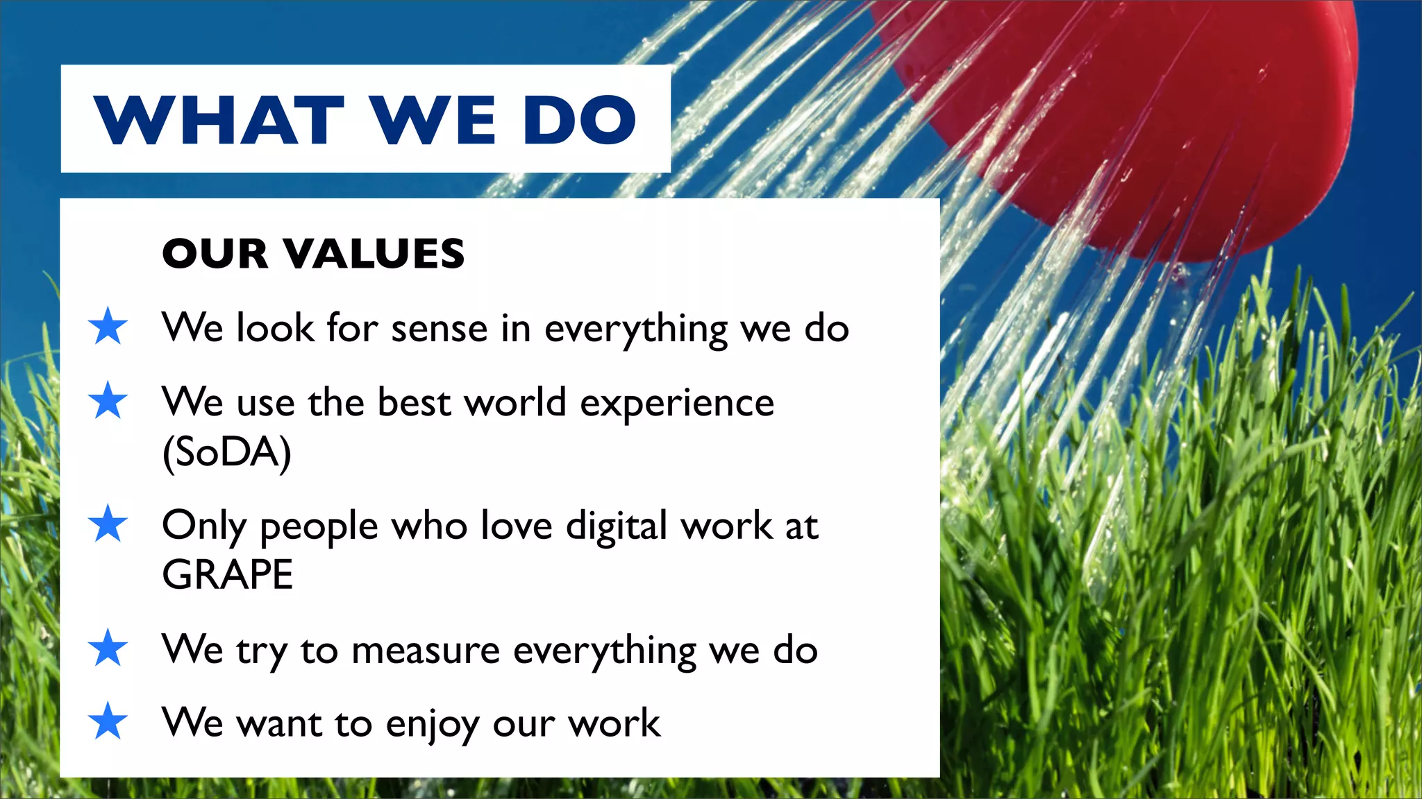WHAT WE DO
    OUR VALUES
★   We look for sense in everything we do
★   We use the best world experience
    (SoDA)
★   Only people who love digital work at
    GRAPE
★   We try to measure everything we do
★   We want to enjoy our work
 