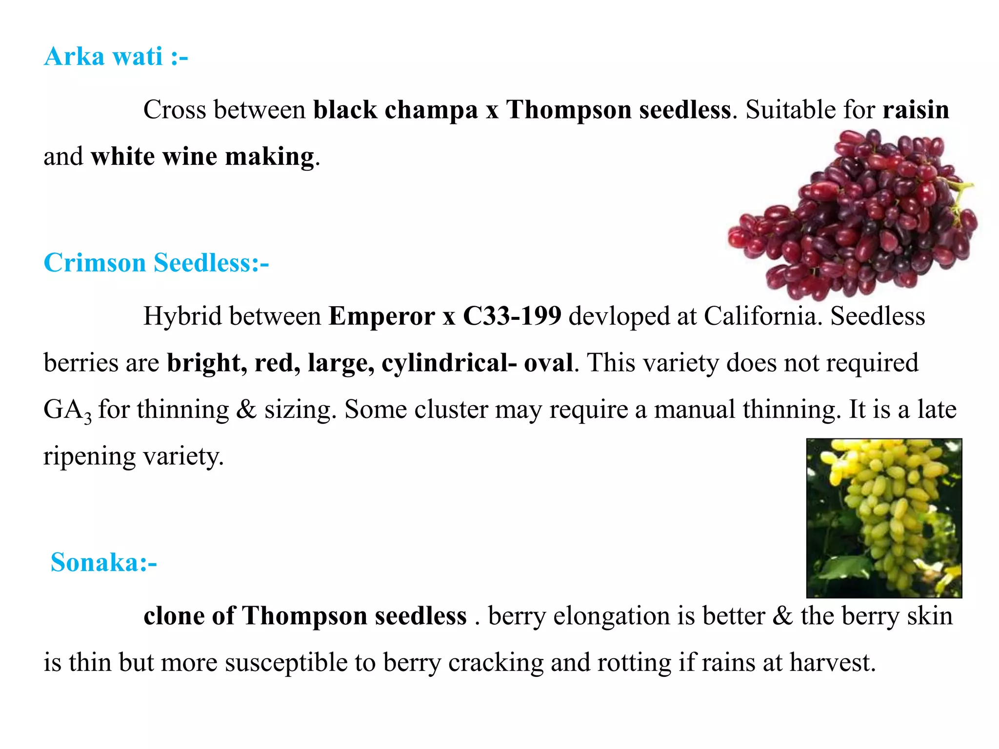 Arka wati :-
Cross between black champa x Thompson seedless. Suitable for raisin
and white wine making.
Crimson Seedless:-
Hybrid between Emperor x C33-199 devloped at California. Seedless
berries are bright, red, large, cylindrical- oval. This variety does not required
GA3 for thinning & sizing. Some cluster may require a manual thinning. It is a late
ripening variety.
Sonaka:-
clone of Thompson seedless . berry elongation is better & the berry skin
is thin but more susceptible to berry cracking and rotting if rains at harvest.
 