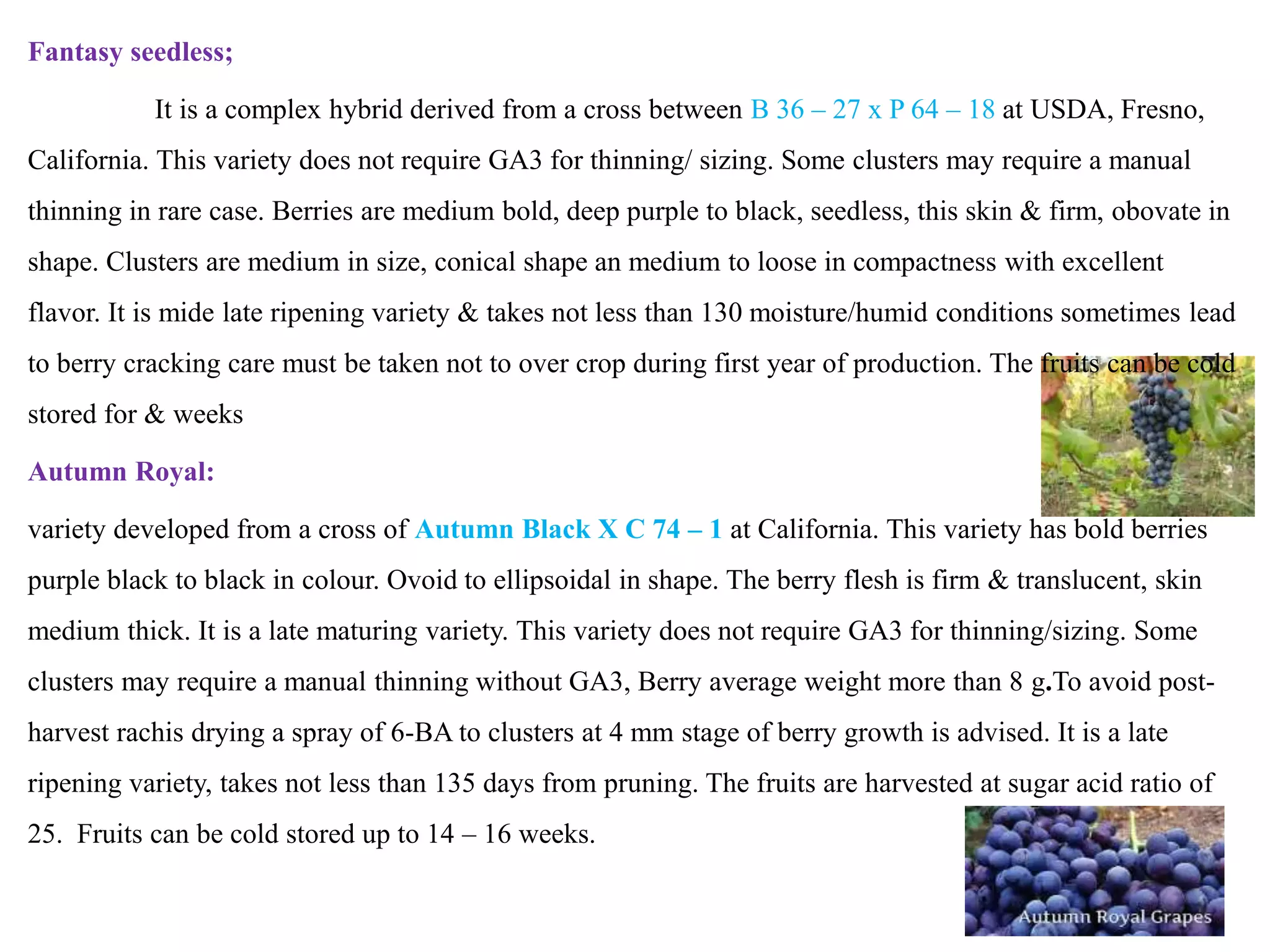 Fantasy seedless;
It is a complex hybrid derived from a cross between B 36 – 27 x P 64 – 18 at USDA, Fresno,
California. This variety does not require GA3 for thinning/ sizing. Some clusters may require a manual
thinning in rare case. Berries are medium bold, deep purple to black, seedless, this skin & firm, obovate in
shape. Clusters are medium in size, conical shape an medium to loose in compactness with excellent
flavor. It is mide late ripening variety & takes not less than 130 moisture/humid conditions sometimes lead
to berry cracking care must be taken not to over crop during first year of production. The fruits can be cold
stored for & weeks
Autumn Royal:
variety developed from a cross of Autumn Black X C 74 – 1 at California. This variety has bold berries
purple black to black in colour. Ovoid to ellipsoidal in shape. The berry flesh is firm & translucent, skin
medium thick. It is a late maturing variety. This variety does not require GA3 for thinning/sizing. Some
clusters may require a manual thinning without GA3, Berry average weight more than 8 g.To avoid post-
harvest rachis drying a spray of 6-BA to clusters at 4 mm stage of berry growth is advised. It is a late
ripening variety, takes not less than 135 days from pruning. The fruits are harvested at sugar acid ratio of
25. Fruits can be cold stored up to 14 – 16 weeks.
 