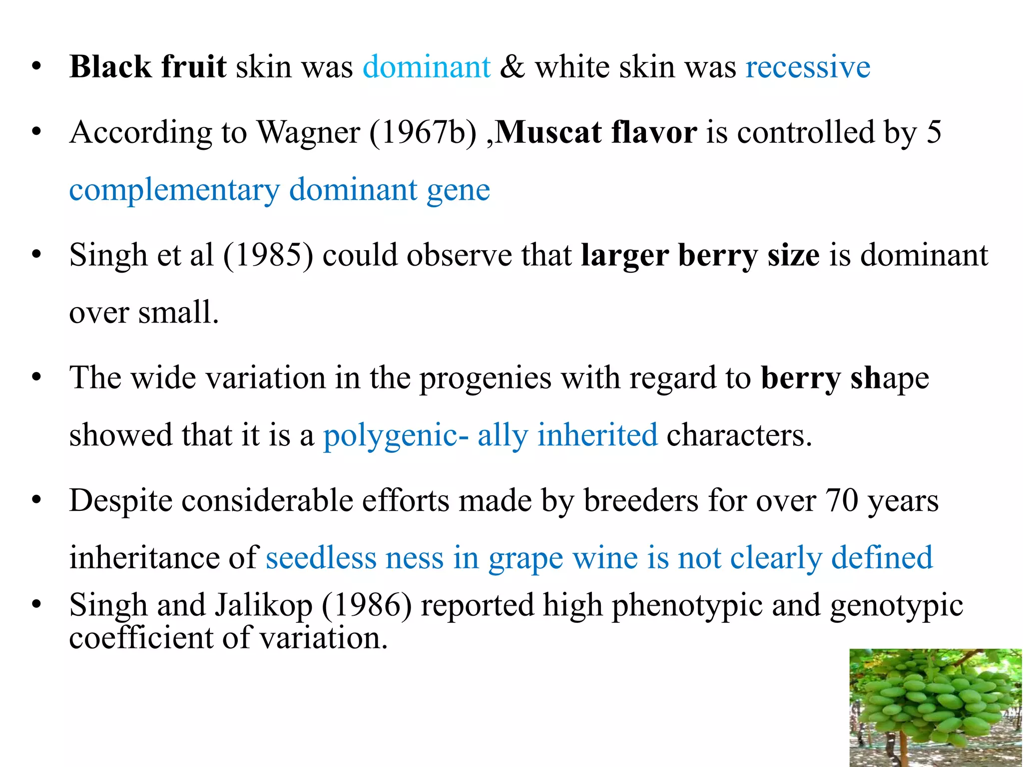 • Black fruit skin was dominant & white skin was recessive
• According to Wagner (1967b) ,Muscat flavor is controlled by 5
complementary dominant gene
• Singh et al (1985) could observe that larger berry size is dominant
over small.
• The wide variation in the progenies with regard to berry shape
showed that it is a polygenic- ally inherited characters.
• Despite considerable efforts made by breeders for over 70 years
inheritance of seedless ness in grape wine is not clearly defined
• Singh and Jalikop (1986) reported high phenotypic and genotypic
coefficient of variation.
 