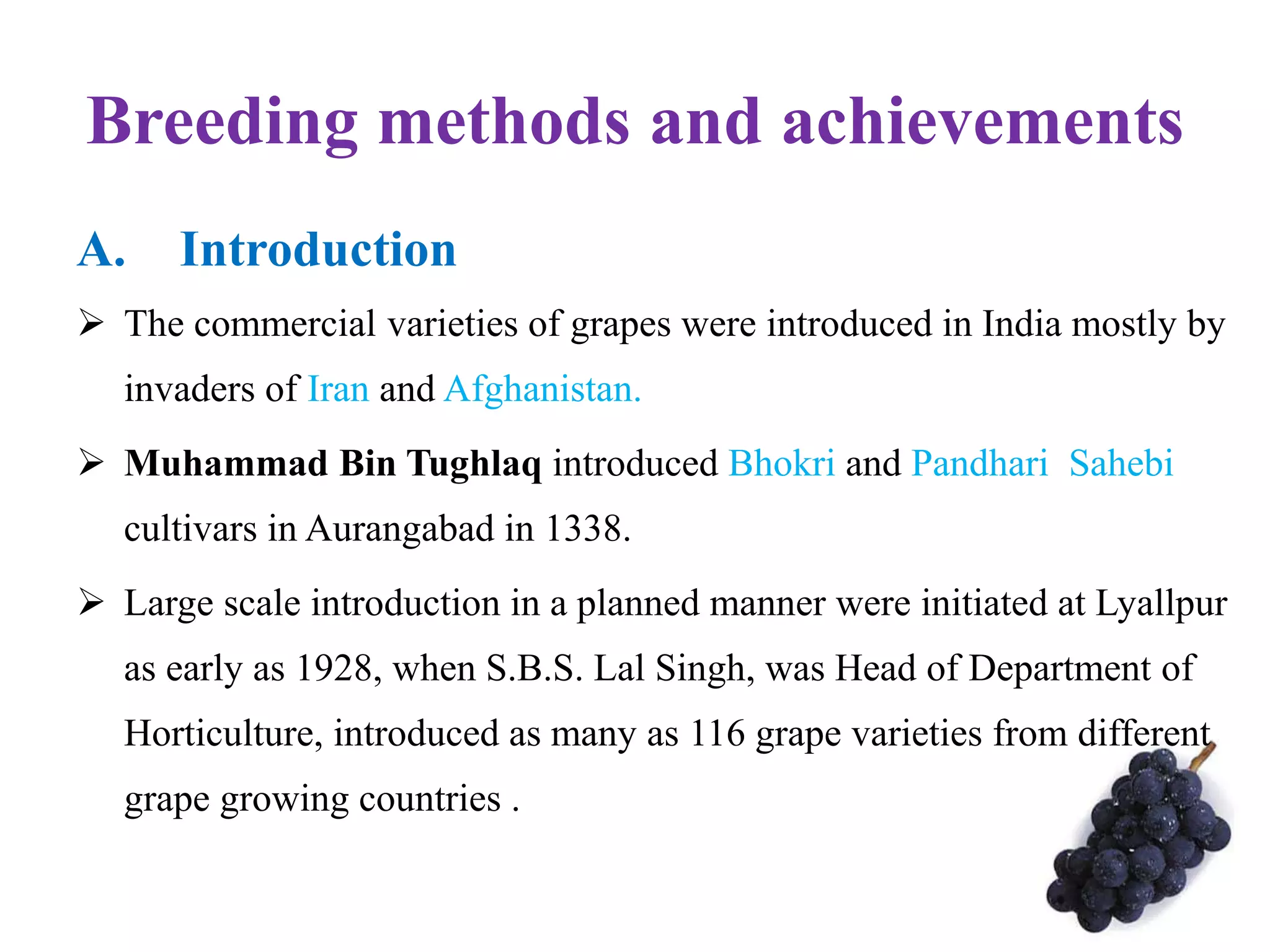 Breeding methods and achievements
A. Introduction
 The commercial varieties of grapes were introduced in India mostly by
invaders of Iran and Afghanistan.
 Muhammad Bin Tughlaq introduced Bhokri and Pandhari Sahebi
cultivars in Aurangabad in 1338.
 Large scale introduction in a planned manner were initiated at Lyallpur
as early as 1928, when S.B.S. Lal Singh, was Head of Department of
Horticulture, introduced as many as 116 grape varieties from different
grape growing countries .
 