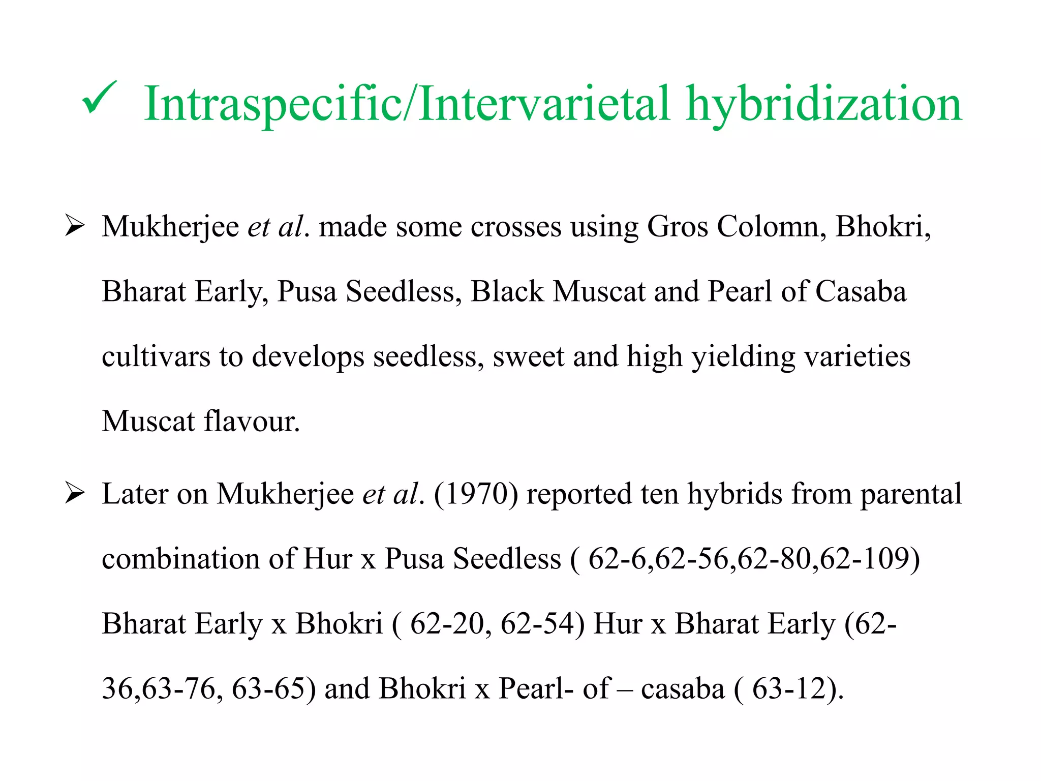  Intraspecific/Intervarietal hybridization
 Mukherjee et al. made some crosses using Gros Colomn, Bhokri,
Bharat Early, Pusa Seedless, Black Muscat and Pearl of Casaba
cultivars to develops seedless, sweet and high yielding varieties
Muscat flavour.
 Later on Mukherjee et al. (1970) reported ten hybrids from parental
combination of Hur x Pusa Seedless ( 62-6,62-56,62-80,62-109)
Bharat Early x Bhokri ( 62-20, 62-54) Hur x Bharat Early (62-
36,63-76, 63-65) and Bhokri x Pearl- of – casaba ( 63-12).
 