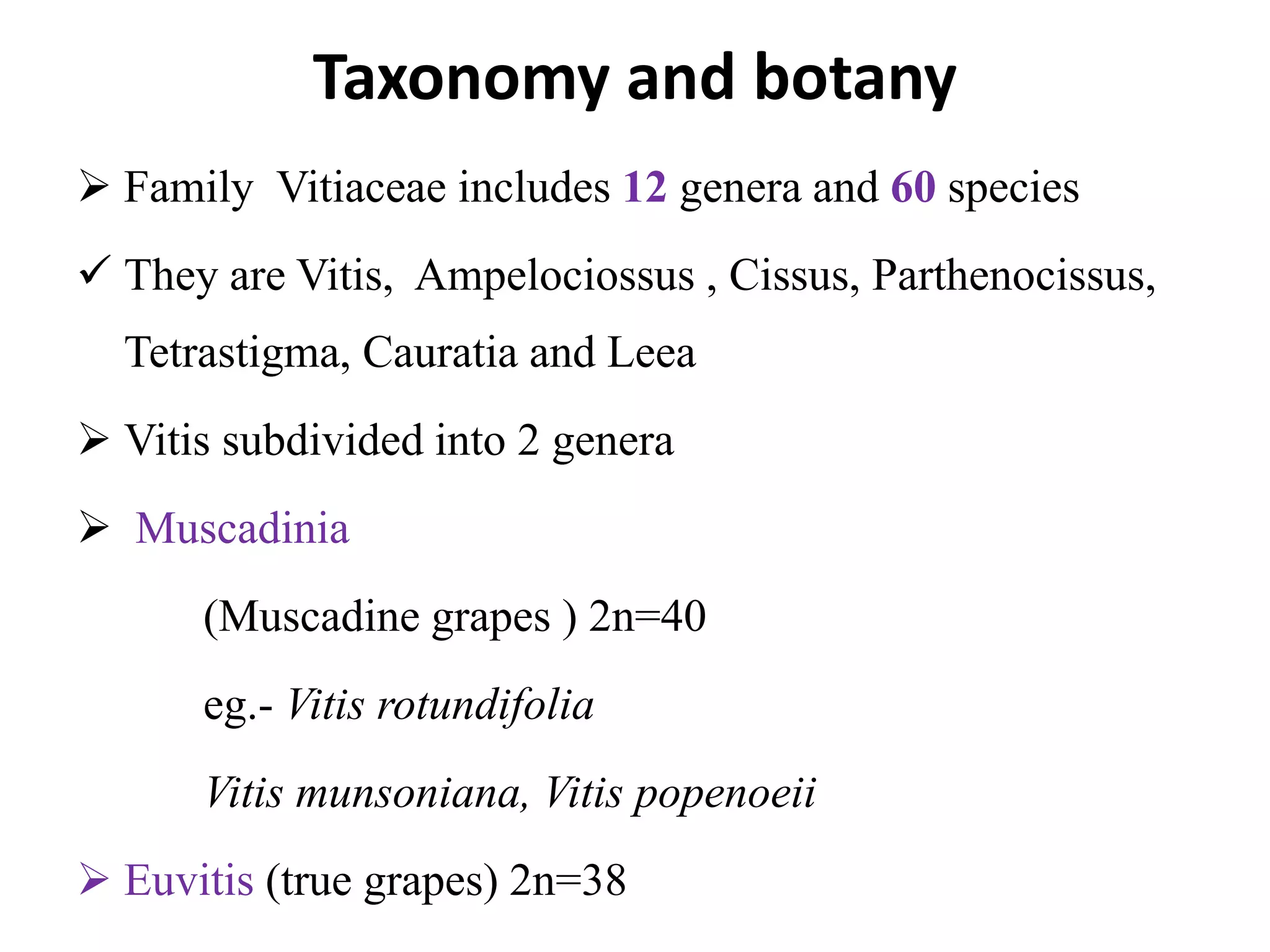 Taxonomy and botany
 Family Vitiaceae includes 12 genera and 60 species
 They are Vitis, Ampelociossus , Cissus, Parthenocissus,
Tetrastigma, Cauratia and Leea
 Vitis subdivided into 2 genera
 Muscadinia
(Muscadine grapes ) 2n=40
eg.- Vitis rotundifolia
Vitis munsoniana, Vitis popenoeii
 Euvitis (true grapes) 2n=38
 