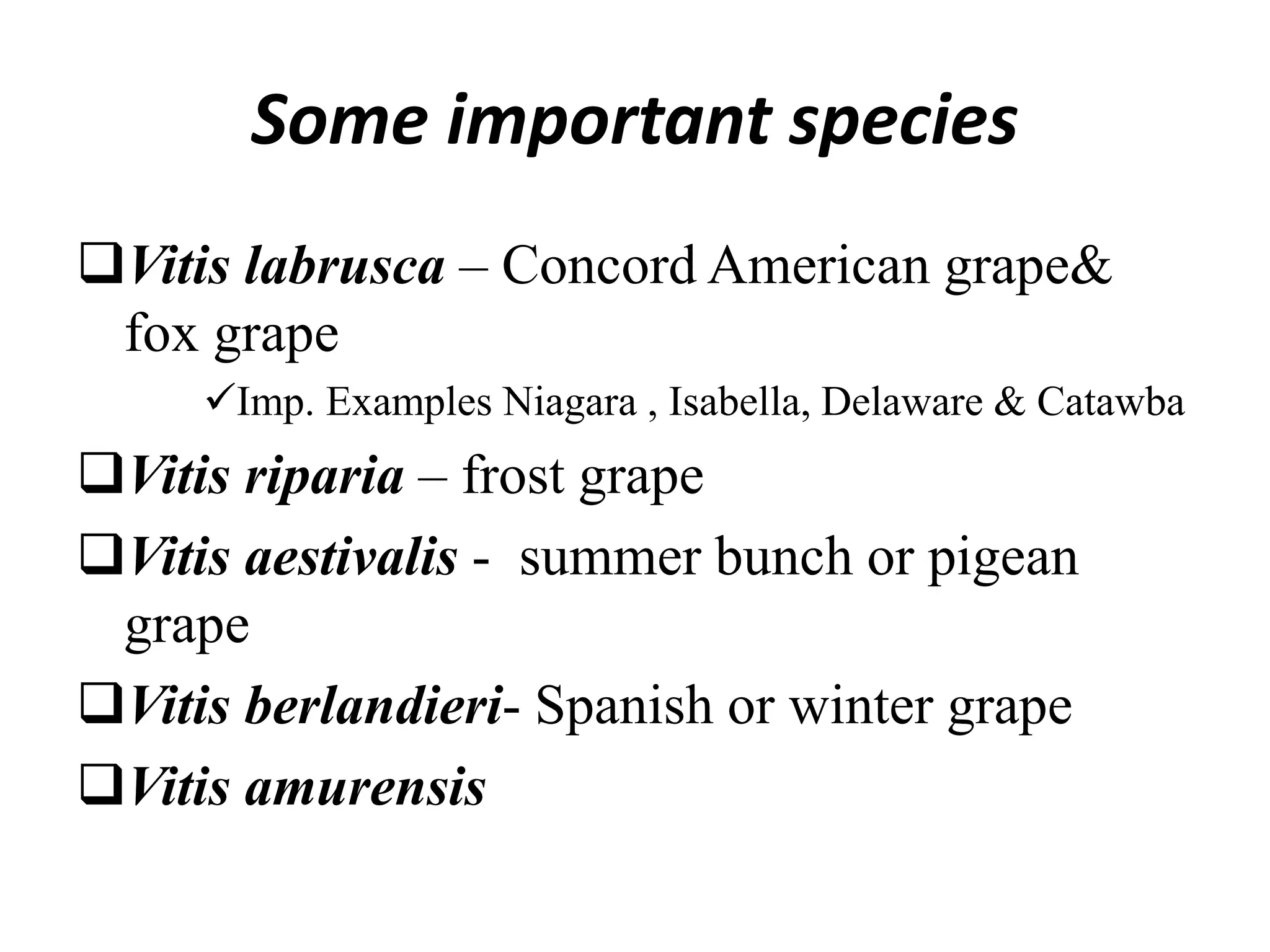 Some important species
Vitis labrusca – Concord American grape&
fox grape
Imp. Examples Niagara , Isabella, Delaware & Catawba
Vitis riparia – frost grape
Vitis aestivalis - summer bunch or pigean
grape
Vitis berlandieri- Spanish or winter grape
Vitis amurensis
 
