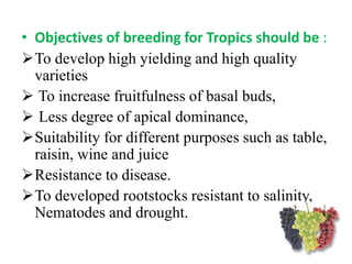 Grape breeding | PPTX