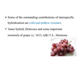Grape breeding | PPTX