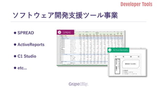 ソフトウェア開発支援ツール事業
 SPREAD
 ActiveReports
 C1 Studio
 etc...
 