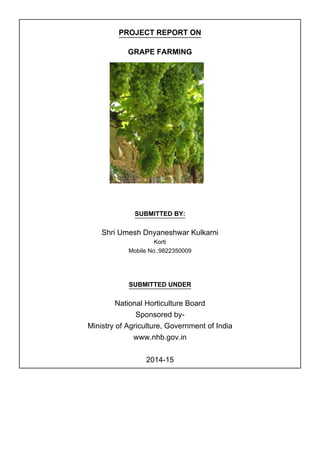 PROJECT REPORT ON
GRAPE FARMING
SUBMITTED BY:
Shri Umesh Dnyaneshwar Kulkarni
Korti
Mobile No.:9822350009
SUBMITTED UNDER
National Horticulture Board
Sponsored by-
Ministry of Agriculture, Government of India
www.nhb.gov.in
2014-15
 