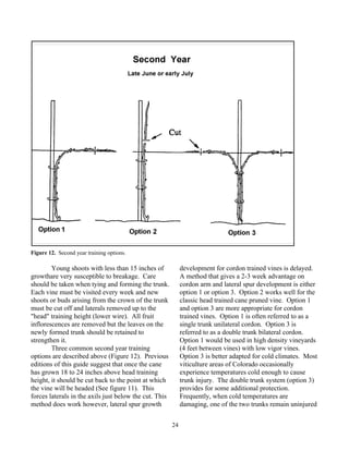 Grape Growing guide | PDF