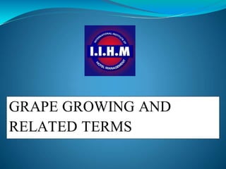 GRAPE GROWING AND
RELATED TERMS
 