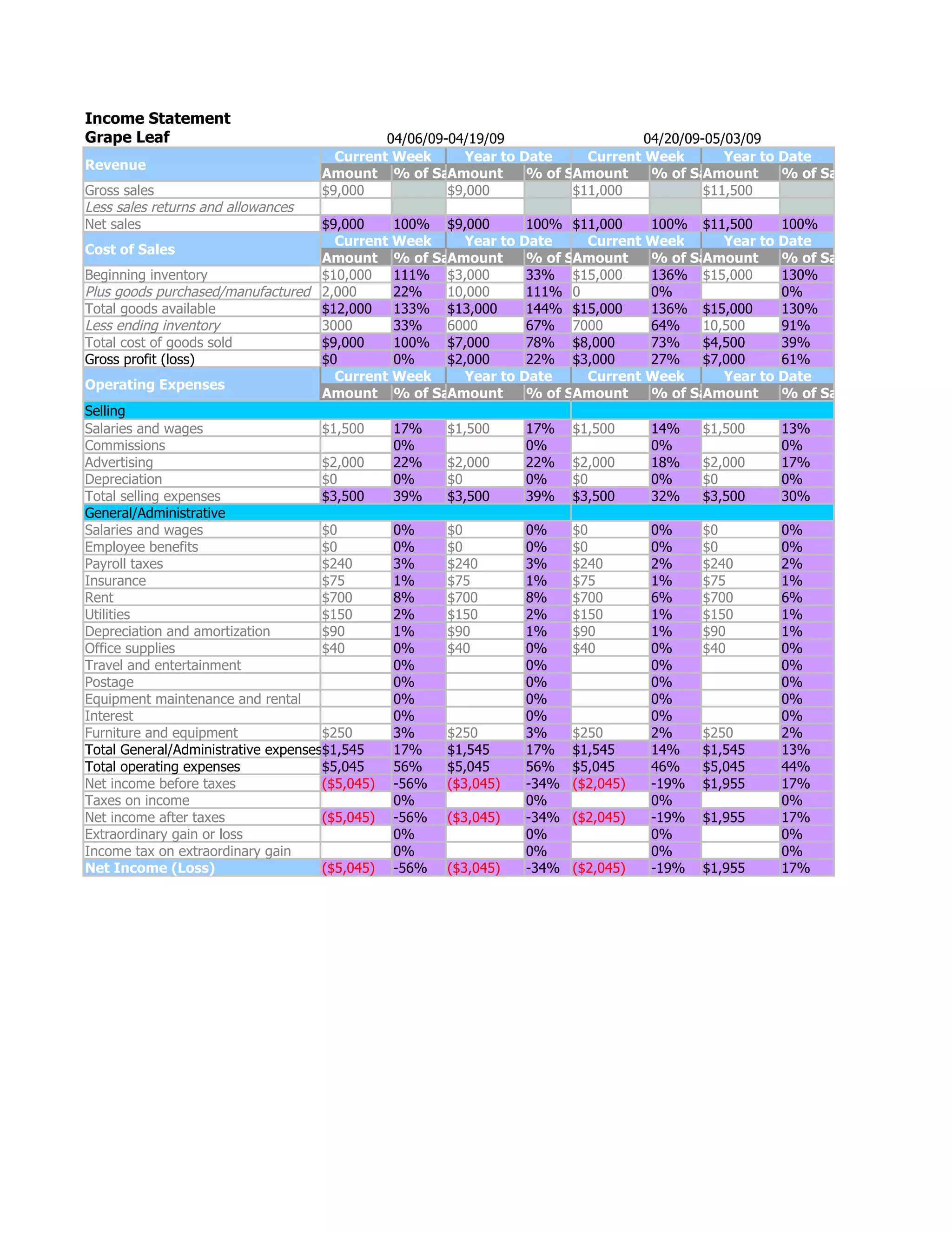 Grape Leaf Income Statement 040609 050309