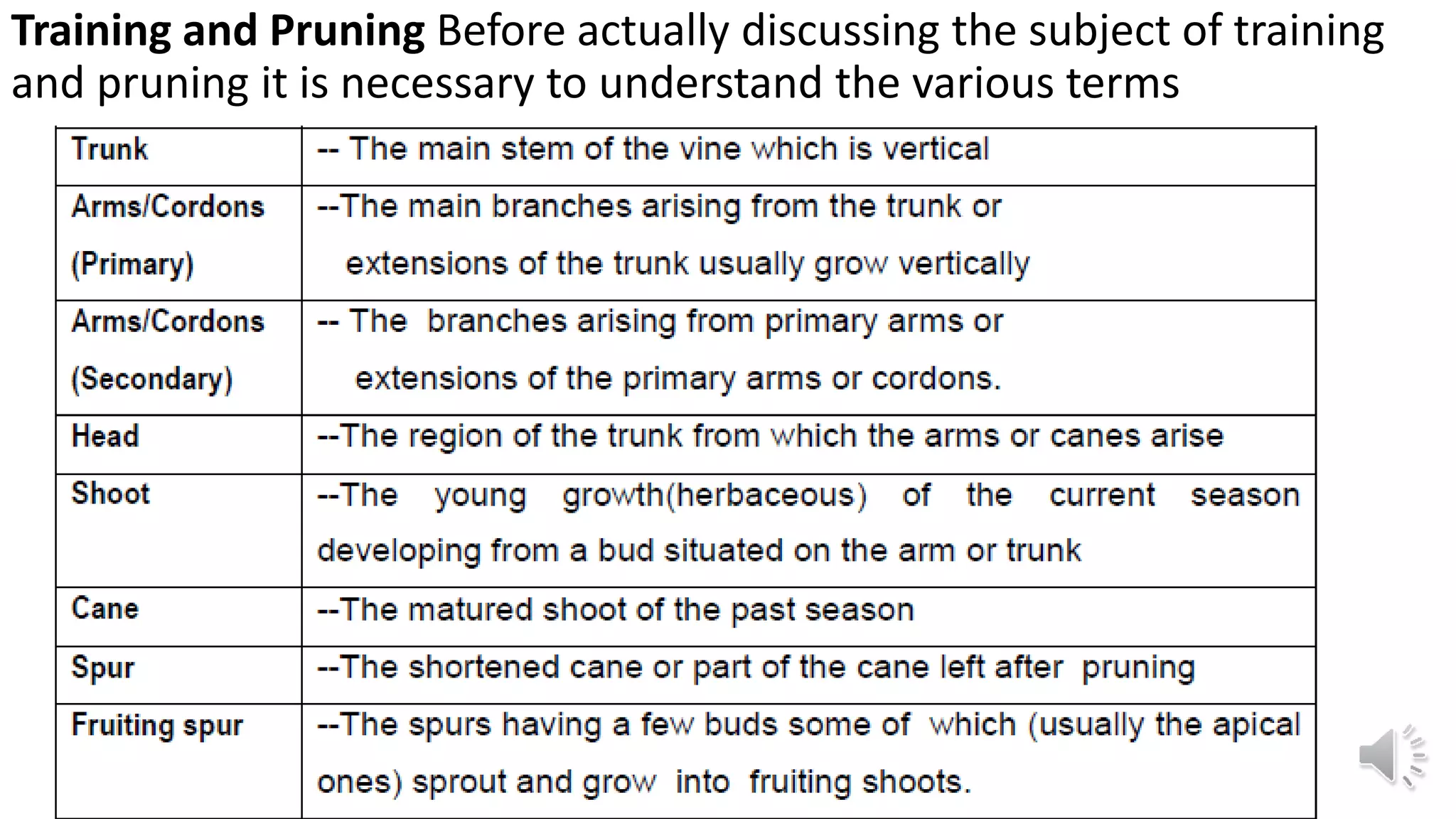 Training and Pruning Before actually discussing the subject of training
and pruning it is necessary to understand the various terms
 