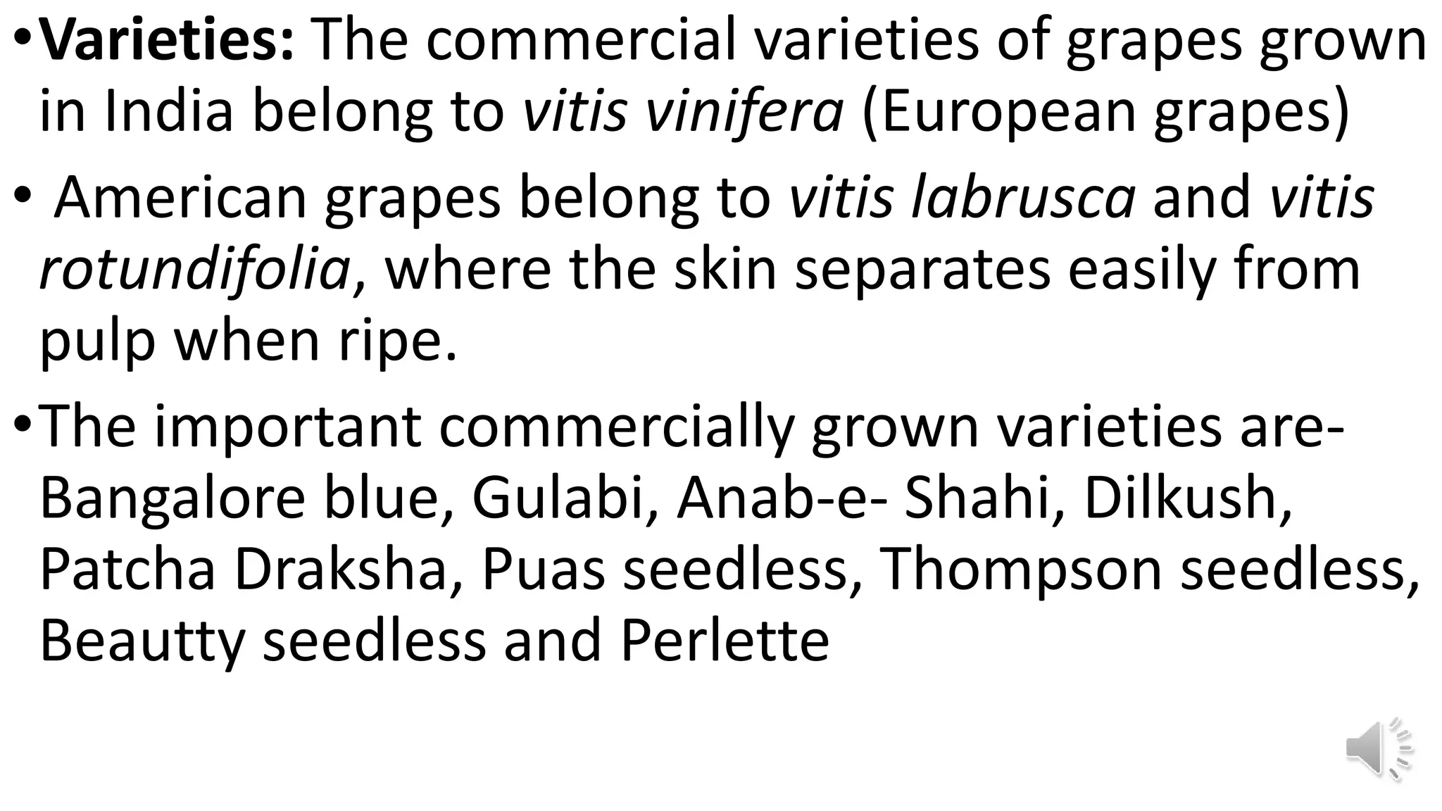 •Varieties: The commercial varieties of grapes grown
in India belong to vitis vinifera (European grapes)
• American grapes belong to vitis labrusca and vitis
rotundifolia, where the skin separates easily from
pulp when ripe.
•The important commercially grown varieties are-
Bangalore blue, Gulabi, Anab-e- Shahi, Dilkush,
Patcha Draksha, Puas seedless, Thompson seedless,
Beautty seedless and Perlette
 