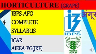 IBPS-AFO
COMPLETE
SYLLABUS
HORTICULTURE (GRAPE)
ICAR
AIEEA-PG(JRF)
4
अंगूर
 