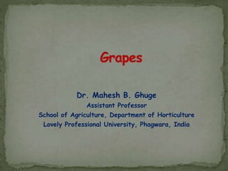Dr. Mahesh B. Ghuge
Assistant Professor
School of Agriculture, Department of Horticulture
Lovely Professional University, Phagwara, India
 