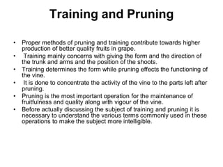 Geape Training Methods Grapes.pdf