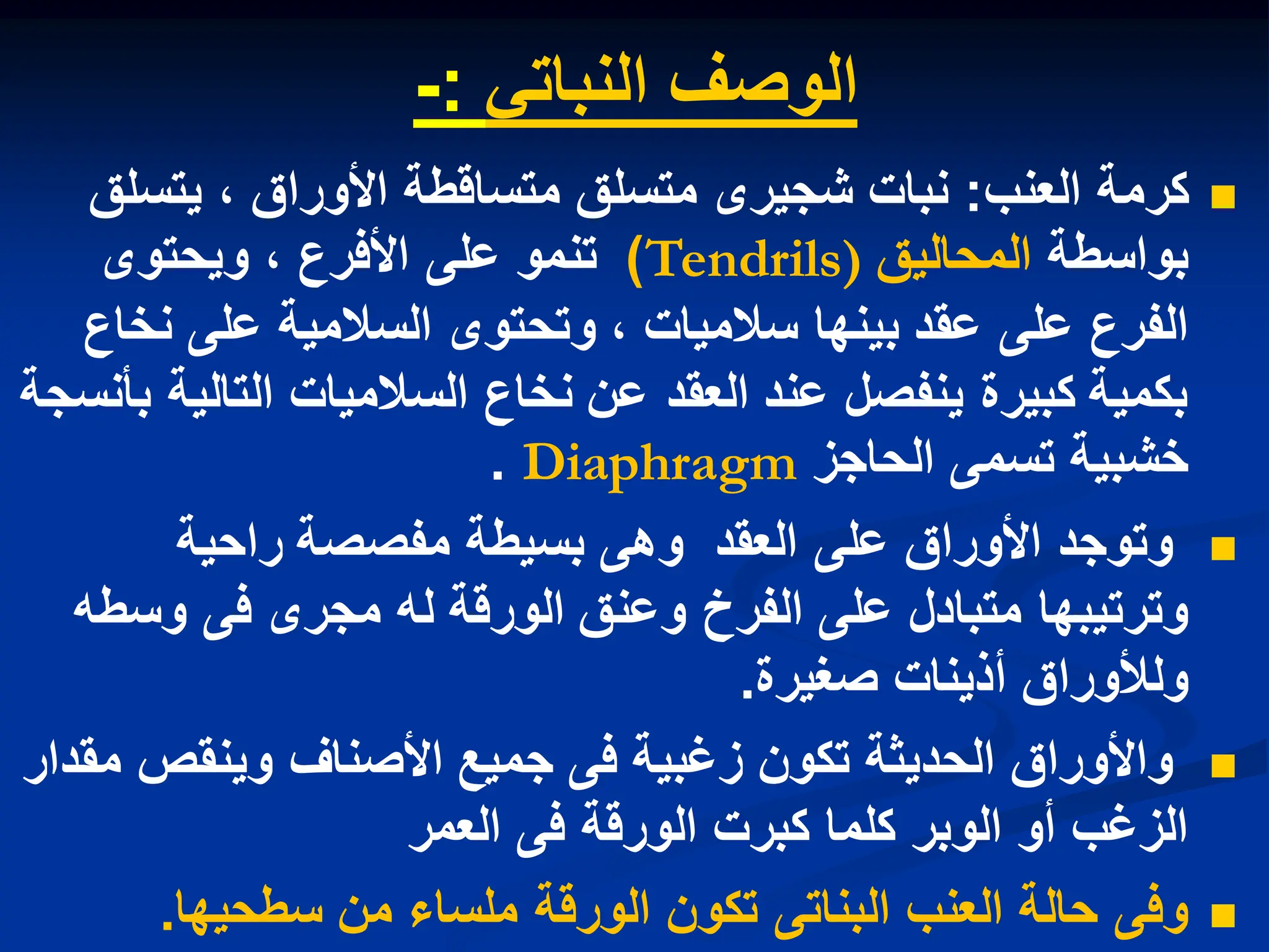 ً‫النبات‬ ‫الوصف‬
:
-

‫كرمة‬
‫العنب‬
:
‫متسلق‬ ‫شجٌرى‬ ‫نبات‬
‫ٌتسلق‬ ، ‫األوراق‬ ‫متساقطة‬
‫ب‬
‫واسطة‬
‫المحالٌق‬
Tendrils)
)
‫وٌحتوى‬ ، ‫األفرع‬ ‫على‬ ‫تنمو‬
‫نخاع‬ ‫على‬ ‫السالمٌة‬ ‫وتحتوى‬ ، ‫سالمٌات‬ ‫بٌنها‬ ‫عقد‬ ‫على‬ ‫الفرع‬
‫بأنسجة‬ ‫التالٌة‬ ‫السالمٌات‬ ‫نخاع‬ ‫عن‬ ‫العقد‬ ‫عند‬ ‫ٌنفصل‬ ‫كبٌرة‬ ‫بكمٌة‬
‫الحاجز‬ ‫تسمى‬ ‫خشبٌة‬
Diaphragm
.

‫العقد‬ ‫على‬ ‫األوراق‬ ‫وتوجد‬
‫وهى‬
‫بسٌطة‬
‫مفصصة‬
‫راحٌة‬
‫وسطه‬ ‫فى‬ ‫مجرى‬ ‫له‬ ‫الورقة‬ ‫وعنق‬ ‫الفرخ‬ ‫على‬ ‫متبادل‬ ‫وترتٌبها‬
‫صغٌرة‬ ‫أذٌنات‬ ‫ولألوراق‬
.

‫مقدار‬ ‫وٌنقص‬ ‫األصناف‬ ‫جمٌع‬ ‫فى‬ ‫زغبٌة‬ ‫تكون‬ ‫الحدٌثة‬ ‫واألوراق‬
‫العمر‬ ‫فى‬ ‫الورقة‬ ‫كبرت‬ ‫كلما‬ ‫الوبر‬ ‫أو‬ ‫الزغب‬

‫سطحٌها‬ ‫من‬ ‫ملساء‬ ‫الورقة‬ ‫تكون‬ ‫البناتى‬ ‫العنب‬ ‫حالة‬ ‫وفى‬
.
 