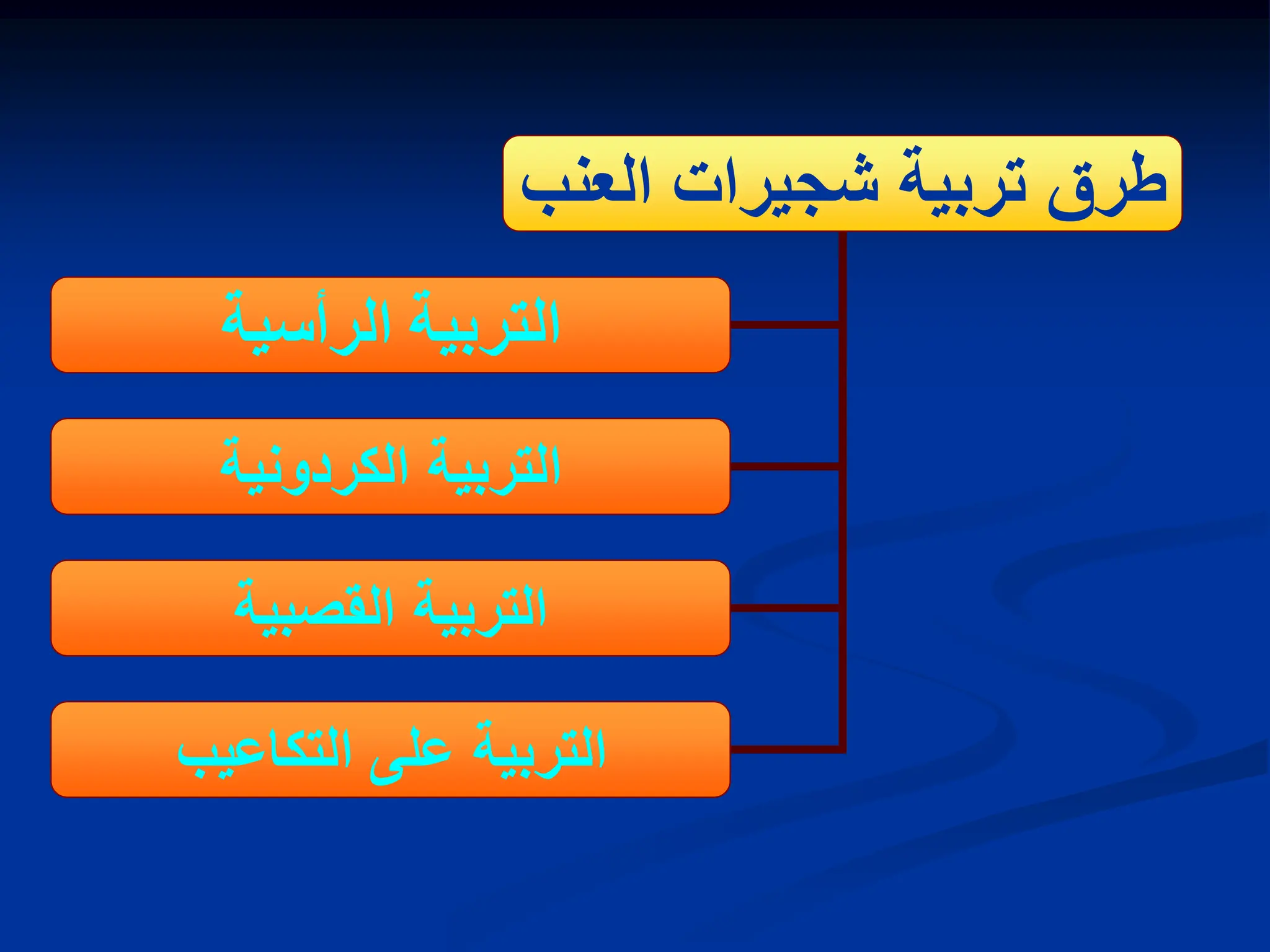 ‫العنب‬ ‫شجٌرات‬ ‫تربٌة‬ ‫طرق‬
‫الرأسٌة‬ ‫التربٌة‬
‫الكردونٌة‬ ‫التربٌة‬
‫القصبٌة‬ ‫التربٌة‬
‫التكاعٌب‬ ‫على‬ ‫التربٌة‬
 