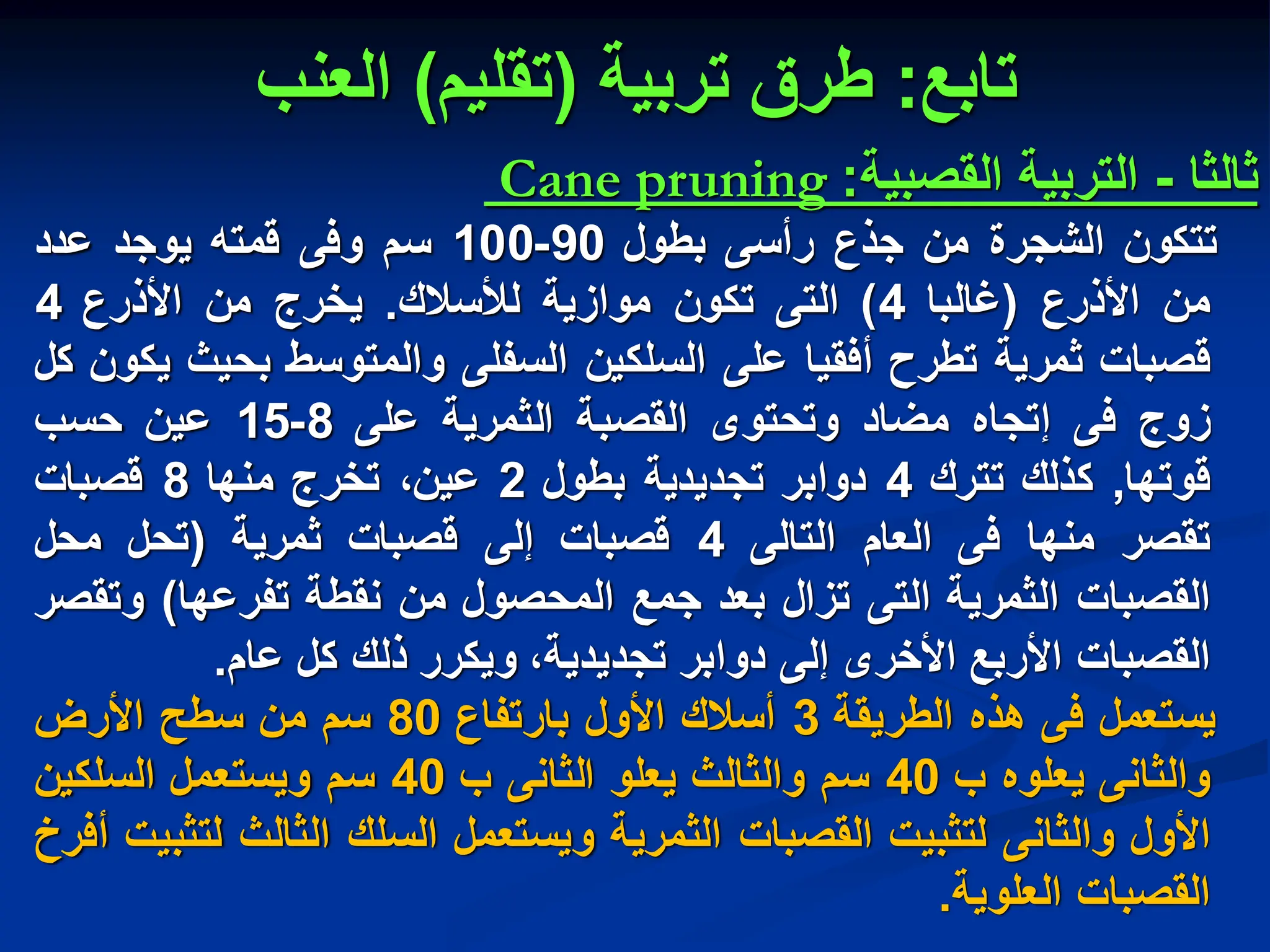 ‫تابع‬
:
‫تربٌة‬ ‫طرق‬
(
‫تقلٌم‬
)
‫العنب‬
‫ثالثا‬
-
‫التربٌة‬
‫القصبٌة‬
:
pruning
Cane
‫تتكون‬
‫الشجرة‬
‫من‬
‫جذع‬
‫رأسى‬
‫بطول‬
90
-
100
‫سم‬
‫وفى‬
‫قمته‬
‫ٌوجد‬
‫عدد‬
‫من‬
‫األذرع‬
(
‫غالبا‬
4
)
‫التى‬
‫تكون‬
‫موازٌة‬
‫لألسالك‬
.
‫ٌخرج‬
‫من‬
‫األذرع‬
4
‫قصبات‬
‫ثمرٌة‬
‫تطرح‬
‫أفقٌا‬
‫على‬
‫السلكٌن‬
‫السفلى‬
‫والمتوسط‬
‫بحٌث‬
‫ٌكون‬
‫كل‬
‫زوج‬
‫فى‬
‫إتجاه‬
‫مضاد‬
‫وتحتوى‬
‫القصبة‬
‫الثمرٌة‬
‫على‬
8
-
15
‫عٌن‬
‫حسب‬
‫قوتها‬
,
‫كذلك‬
‫تترك‬
4
‫دوابر‬
‫تجدٌدٌة‬
‫بطول‬
2
‫عٌن‬
،
‫تخرج‬
‫منها‬
8
‫قصبات‬
‫تقصر‬
‫منها‬
‫فى‬
‫العام‬
‫التالى‬
4
‫قصبات‬
‫إلى‬
‫قصبات‬
‫ثمرٌة‬
(
‫تحل‬
‫محل‬
‫القصبات‬
‫الثمرٌة‬
‫التى‬
‫تزال‬
‫بعد‬
‫جمع‬
‫المحصول‬
‫من‬
‫نقطة‬
‫تفرعها‬
)
‫وتقصر‬
‫القصبات‬
‫األربع‬
‫األخرى‬
‫إلى‬
‫دوابر‬
،‫تجدٌدٌة‬
‫وٌكرر‬
‫ذلك‬
‫كل‬
‫عام‬
.
‫ٌستعمل‬
‫فى‬
‫هذه‬
‫الطرٌقة‬
3
‫أسالك‬
‫األول‬
‫بارتفاع‬
80
‫سم‬
‫من‬
‫سطح‬
‫األرض‬
‫والثانى‬
‫ٌعلوه‬
‫ب‬
40
‫سم‬
‫والثالث‬
‫ٌعلو‬
‫الثانى‬
‫ب‬
40
‫سم‬
‫وٌستعمل‬
‫السلكٌن‬
‫األول‬
‫والثانى‬
‫لتثبٌت‬
‫القصبات‬
‫الثمرٌة‬
‫وٌستعمل‬
‫السلك‬
‫الثالث‬
‫لتثبٌت‬
‫أفرخ‬
‫القصبات‬
‫العلوٌة‬
.
 