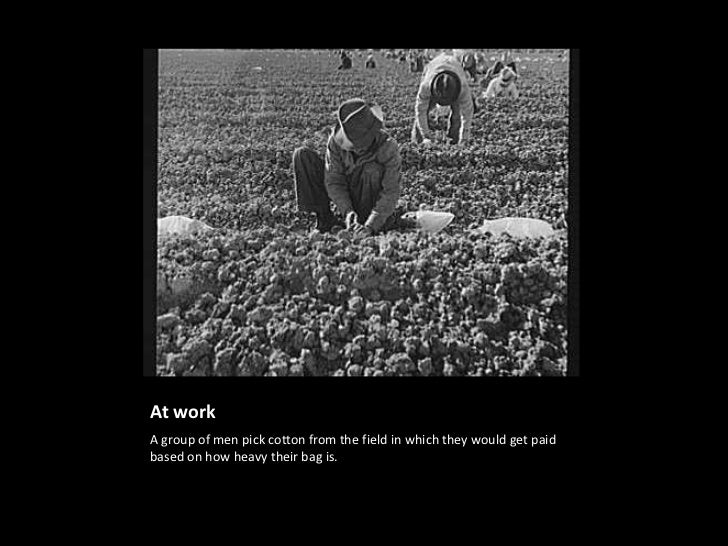 Grapes of wrath essay
