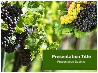 Presentation Slides On Grapes