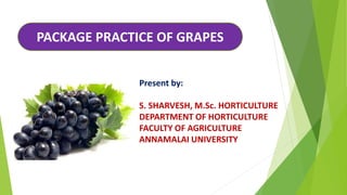 Present by:
S. SHARVESH, M.Sc. HORTICULTURE
DEPARTMENT OF HORTICULTURE
FACULTY OF AGRICULTURE
ANNAMALAI UNIVERSITY
PACKAGE PRACTICE OF GRAPES
 