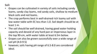 Soil:
• Grapes can be cultivated in variety of soils including sandy
loams, sandy clay loams, red sandy soils, shallow to medium
black soils and red loams.
• The crop performs best in well-drained rich loamy soil with
low water table with EC less than 1.0. Soil depth should be at
least 1 m.
• The soil should be well drained, having good water holding
capacity and devoid of any hard pan or impervious layer in
the top 90-cm, with water table at least 6.5m below.
• Grapes can also be grown successfully over a wide range of
soil pH (4.0-9.5)
• however, soils having pH range of 6.5-8.0 are considered
ideal.
 