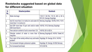 Rootstocks suggested based on global data
for different situation
 