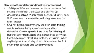 Plant growth regulators And Quality improvement:
• 10-20 ppm NAA are improve the berry cluster or fruit
setting and control the flower and berry drop.
• Application of NAA (Naphthaline acetic acid) @ 20 ppm
8-10 days prior to harvest for reducing berry drop in
raisin grapes
• GA3 has been also commonly used for berry thining
and to enhance berry size of seedless cultivars.
Generally 30-40m ppm GA3 are used for thinning of
bunches after fruit setting and increase the berry size
• Forchlorfenuron (CPPU) is a synthetic cytokinin. When
applied prior to or during bloom, it increases the fruit
set of both seedless and seeded varieties.
 