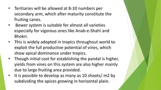 • Teritiaries will be allowed at 8-10 numbers per
secondary arm, which after maturity constitute the
fruiting canes.
• Bower system is suitable for almost all varieties
especially for vigorous ones like Anab-e-Shahi and
Bhokri.
• This is widely adopted in tropics throughout world to
exploit the full productive potential of vines, which
show apical dominance under tropics.
• Though initial cost for establishing the pandal is higher,
yields from vines on this system are also higher mainly
due to large fruiting area provided.
• It is possible to develop as many as 10 shoots/ m2 by
subdividing the apices growing in horizontal plain.
 