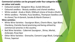 Commercial varieties can be grouped under four categories based
on colour and seeds:
• Coloured seeded - Bangalore Blue, Gulabi (Muscat)
• Coloured seedless - Beauty seedless and shared seedless
• White seeded - Anab-e-Shahi, Dilkhush (clone of Anab-e-Shahi)
• White seedless - Perlette, Pusa Seedless, Thompson Seedless and
its clones( Tas-A-Ganesh, Sonaka & Manik Chaman )
Wine varieties:
• White Wine Varieties - Sauvignon Blanc, Chenin Blanc, Ugni Blanc,
Chardony, Clairette found promising and being utilized by
commercial wineries in the country.
• Red Wine Varieties - Cabernet Sauvignon , Shiraz, Merlot,
Zinfendel, Pinot Noir
• Other Wine Varieties - Grenache, Convent Large Black, Carignane,
Prince, Saperavi
 