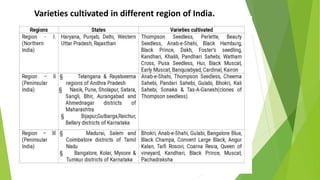 Varieties cultivated in different region of India.
 