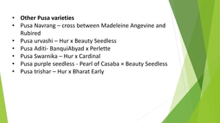• Other Pusa varieties
• Pusa Navrang – cross between Madeleine Angevine and
Rubired
• Pusa urvashi – Hur x Beauty Seedless
• Pusa Aditi- BanquiAbyad x Perlette
• Pusa Swarnika – Hur x Cardinal
• Pusa purple seedless - Pearl of Casaba × Beauty Seedless
• Pusa trishar – Hur x Bharat Early
 