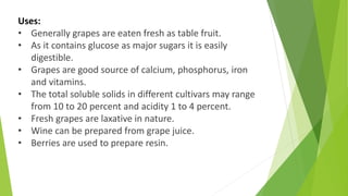 Uses:
• Generally grapes are eaten fresh as table fruit.
• As it contains glucose as major sugars it is easily
digestible.
• Grapes are good source of calcium, phosphorus, iron
and vitamins.
• The total soluble solids in different cultivars may range
from 10 to 20 percent and acidity 1 to 4 percent.
• Fresh grapes are laxative in nature.
• Wine can be prepared from grape juice.
• Berries are used to prepare resin.
 