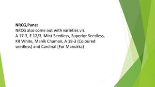 NRCG,Pune:
NRCG also come out with varieties viz.
A 17-3, E 12/3, Mint Seedless, Superior Seedless,
KR White, Manik Chaman, A 18-3 (Coloured
seedless) and Cardinal (For Manukka)
 