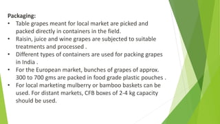 Packaging:
• Table grapes meant for local market are picked and
packed directly in containers in the field.
• Raisin, juice and wine grapes are subjected to suitable
treatments and processed .
• Different types of containers are used for packing grapes
in India .
• For the European market, bunches of grapes of approx.
300 to 700 gms are packed in food grade plastic pouches .
• For local marketing mulberry or bamboo baskets can be
used. For distant markets, CFB boxes of 2-4 kg capacity
should be used.
 