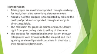 Transportation:
• Table grapes are mostly transported through roadways
for local, short distance or long distance markets.
• About 5 % of the produce is transported by rail and the
quality of produce transported through air cargo is
almost negligible.
• The cold chain for grapes is maintained meticulously
right from pre-cooling state to selling of the same.
• The produce for international market is sent through
refrigerated vans by road upto the sea port and then
again by sea in refrigerated containers in the ships to
their respective destination.
 