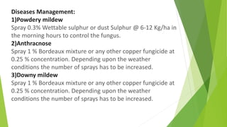 Diseases Management:
1)Powdery mildew
Spray 0.3% Wettable sulphur or dust Sulphur @ 6-12 Kg/ha in
the morning hours to control the fungus.
2)Anthracnose
Spray 1 % Bordeaux mixture or any other copper fungicide at
0.25 % concentration. Depending upon the weather
conditions the number of sprays has to be increased.
3)Downy mildew
Spray 1 % Bordeaux mixture or any other copper fungicide at
0.25 % concentration. Depending upon the weather
conditions the number of sprays has to be increased.
 