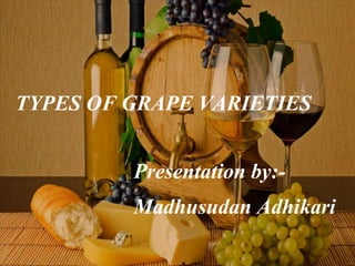 TYPES OF GRAPE VARIETIES
Presentation by:-
Madhusudan Adhikari
 