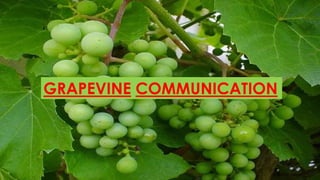 Grapevine communicationGRAPEVINE COMMUNICATION
 