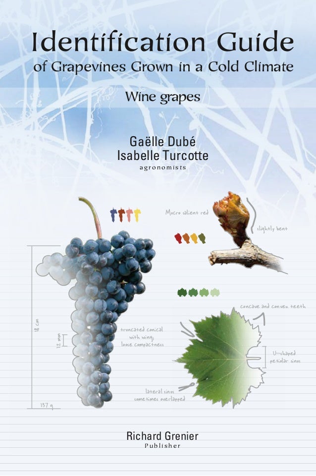 Identification guide of Grapevines Grown in a Cold Climate Wine gra…