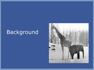 Background

 