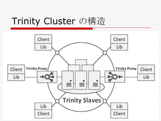 Trinity Cluster の構造

 
