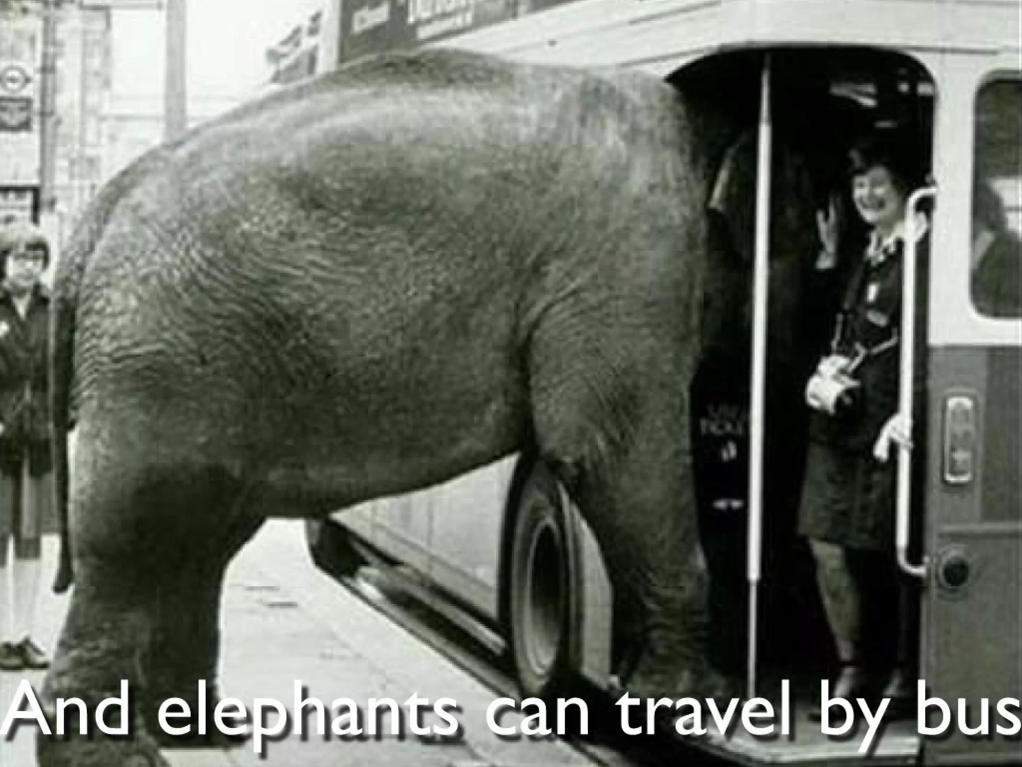 Graph database super star