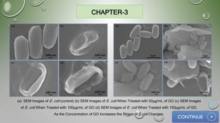 CHAPTER-3
(a) SEM Images of E. coli (control) (b) SEM Images of E. coli When Treated with 50µg/mL of GO (c) SEM Images
of E. coli When Treated with 100µg/mL of GO (d) SEM Images of E. coli When Treated with 150µg/mL of GO.
As the Concentration of GO Increases the Shape of E.coli Changes.
19
 